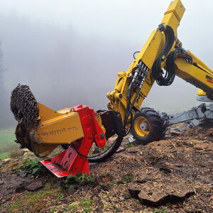 Schreitbagger mit Forstfräse im Einsatz am Steilhang