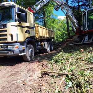 LKW und Bagger bei Räumarbeiten im Wald