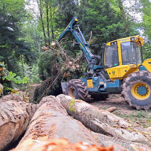 Forwarder verlädt Kronenmaterial im Wald