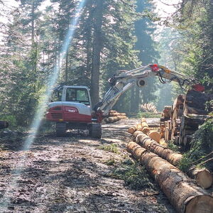 Bagger beim Holzrücken auf einem Waldweg mit gestapelten Baumstämmen